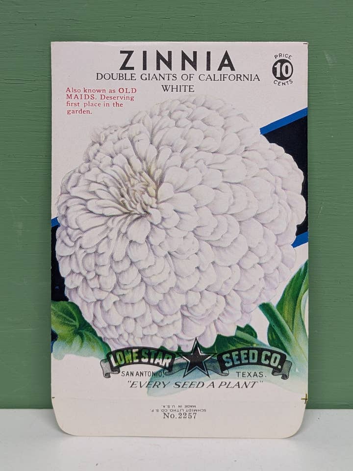 White zinnia empty seed packet for wholesale by vintagegoodies