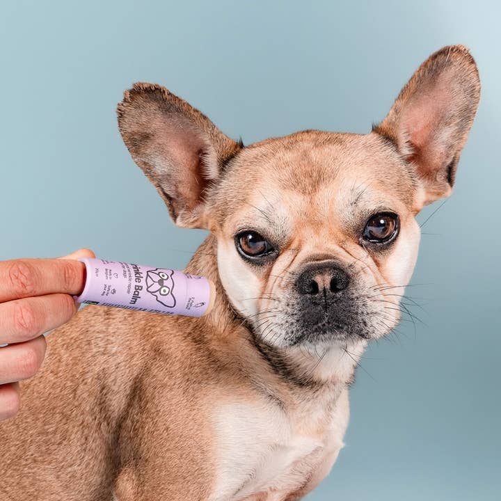 Butchcare - Wholesale Pet Balm - Dog - Natural Dog Care Balms Display Box (40 units)4