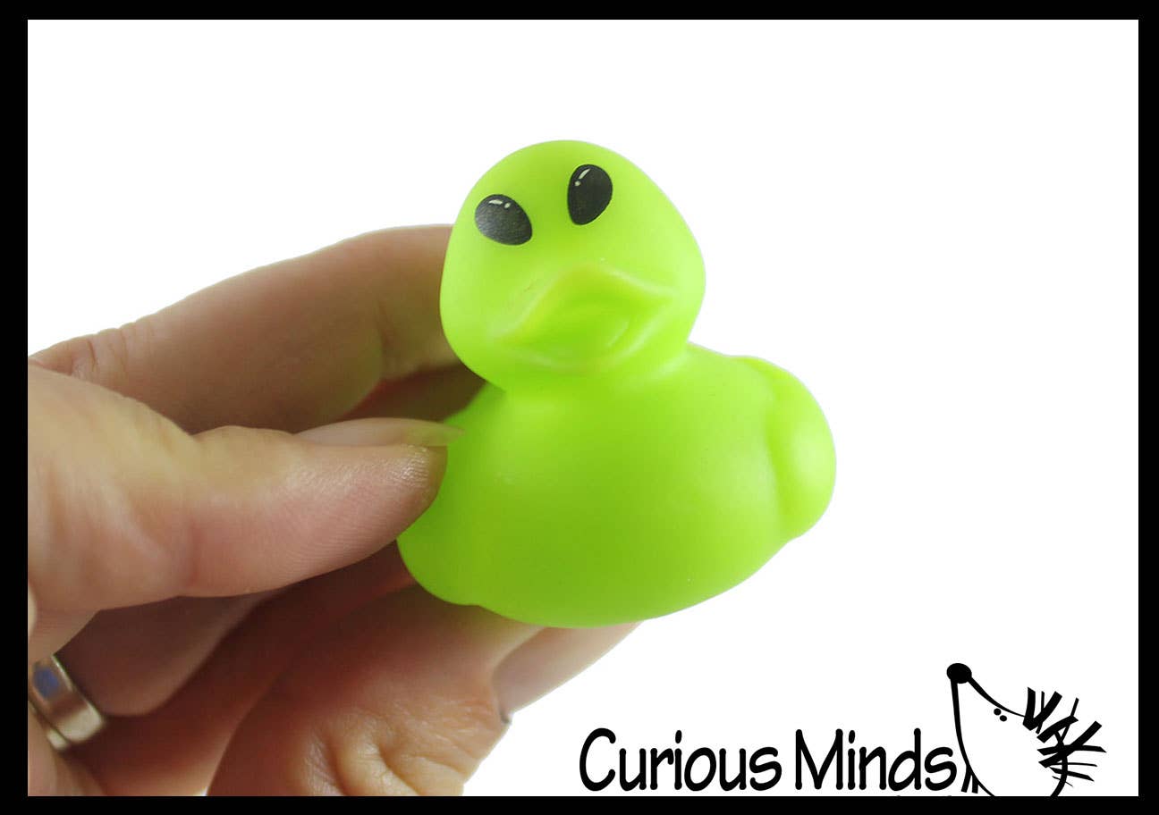 Curious Minds Toys - Wholesale Toy Set - Kids - 1 Small 1.5" Assorted Rubber Ducks - Rubber Duckies - Cute N10