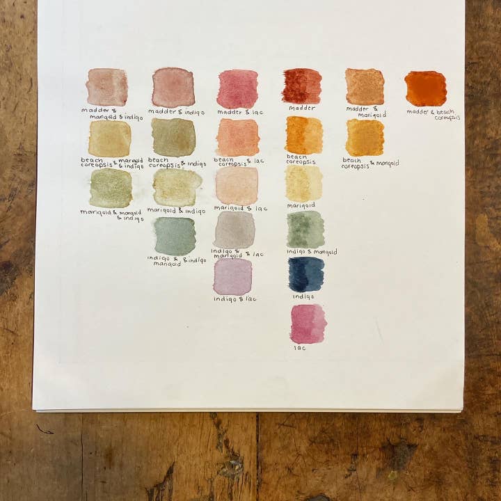 Rootedbotanics - Wholesale Watercolor Paint - Watercolor Paints Made From Plants2