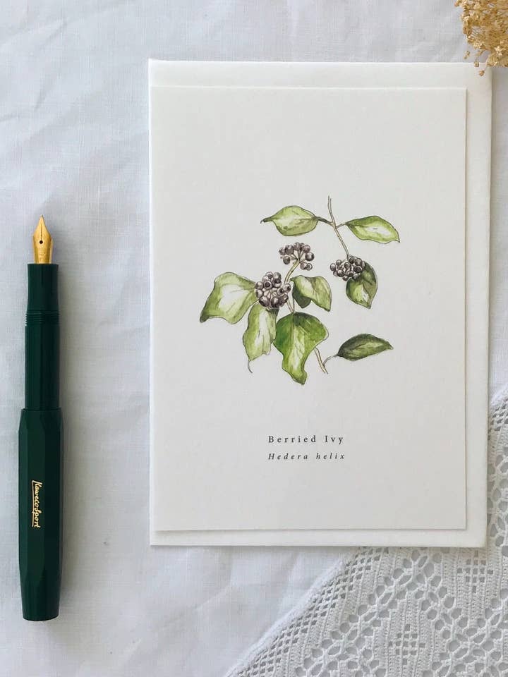 Berried Ivy Botanical Illustration Card for wholesale by Annie Brougham Paper Goods.