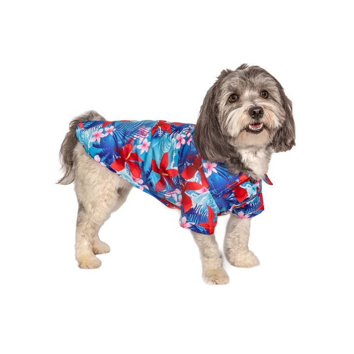 Barker's Bowtique - Wholesale Pet Shirt - Dog - Hip Doggie Blue Hawaiian Button Down Dog Shirt