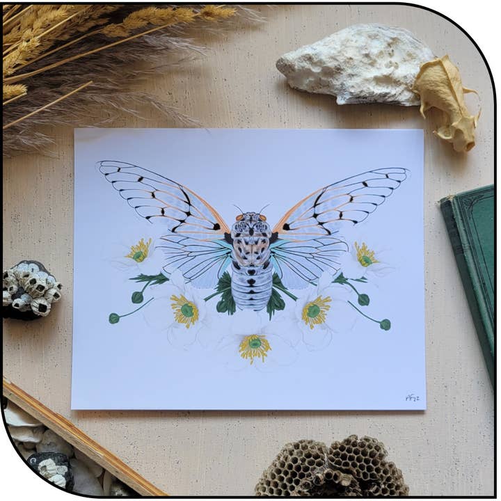 Cicada Art Print for wholesale by The Hollowbird