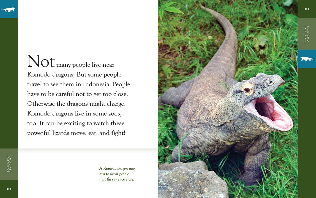 The Creative Company - Wholesale Early Reader Book (6-8) - Amazing Animals - New Edition: Komodo Dragons2