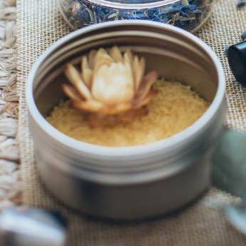 Rejuv | Soy Candle | Lavender Sage Camphor | 9oz
for wholesale by Begonia & Bench