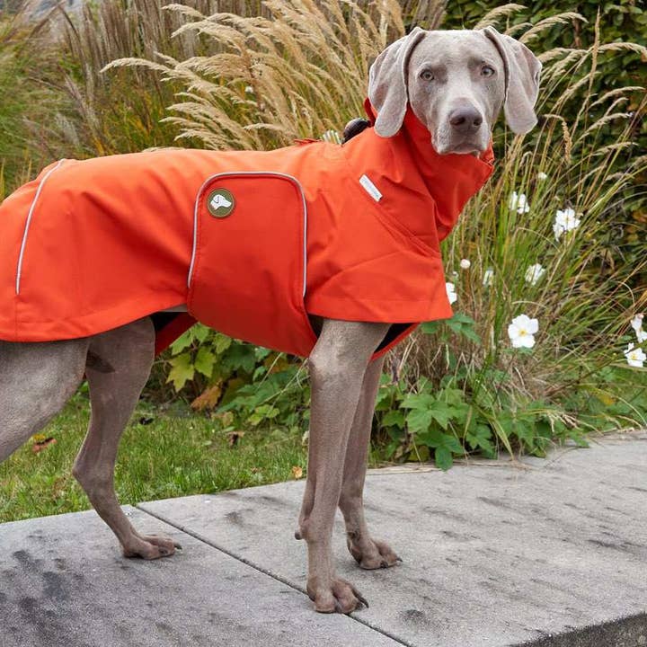 Hondenregenjas Cooper in Pompoen Oranje voor wholesale door THEO & EMMA