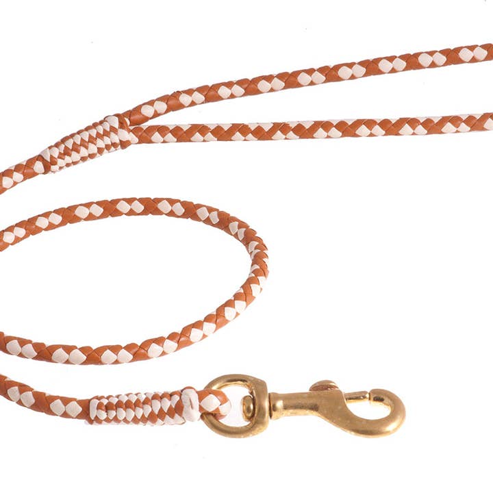 Alvalley - Wholesale Pet Leash - Dog - Braided Leather Snap Leads116