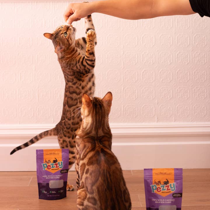 Pezzy Pets - Wholesale Pet Treats - Dog - Silver Carp Chips (Single Ingredient Dog & Cat Treats)3