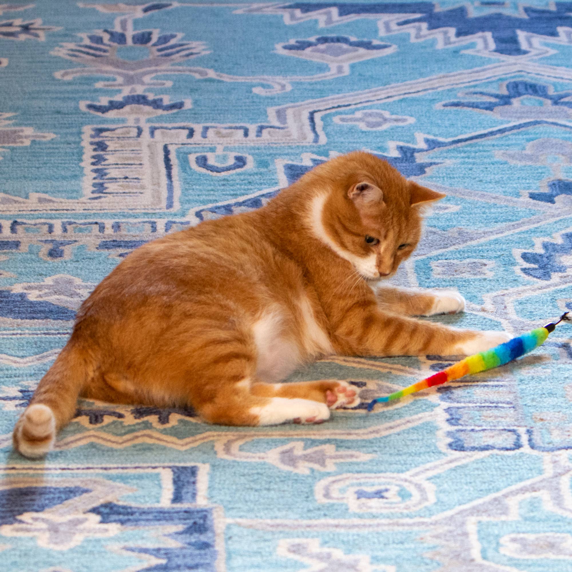 Squishy Face Studio - Wholesale Pet Toy - Cat - Squishy Face Studio Tough Teaser Replacement Lure 2 Pack1