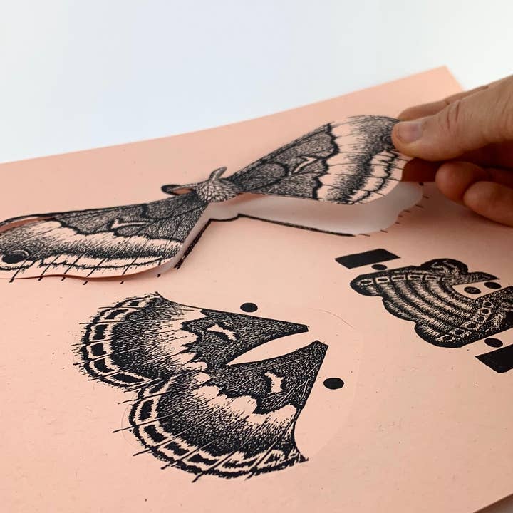 Questionable Press - Wholesale DIY Craft Kit - Moth Paper Sculpture5