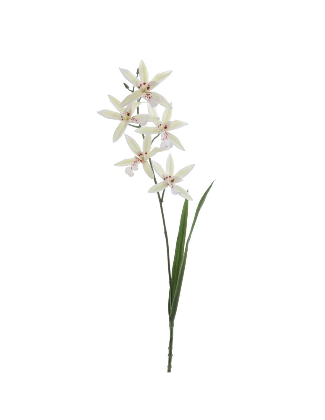 Concari.flores Preservadas - Wholesale Artificial Flowers - ORCHID CALANTHE ARTIFICIAL FLOWER0