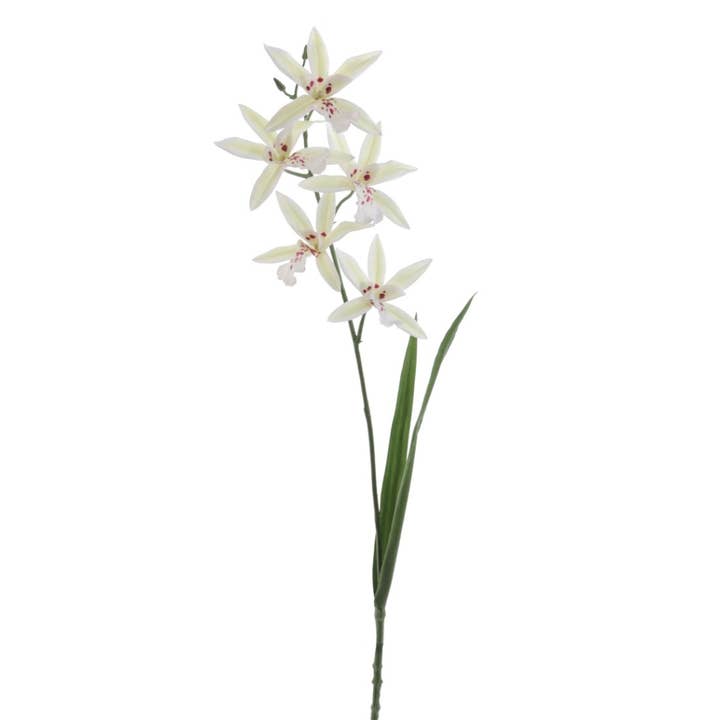 Concari.flores Preservadas - Wholesale Artificial Flowers - ORCHID CALANTHE ARTIFICIAL FLOWER