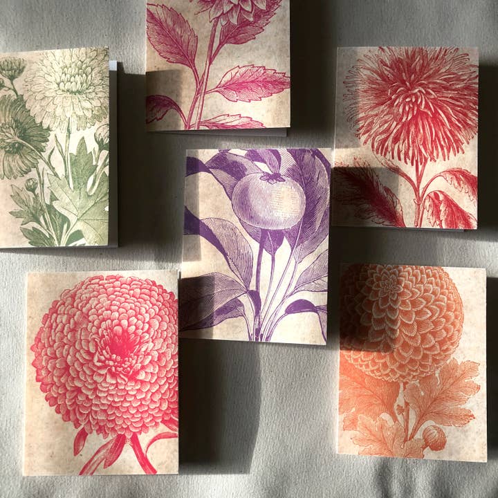 Bold Floral Greeting Cards - Set of 6 for wholesale by Studio G