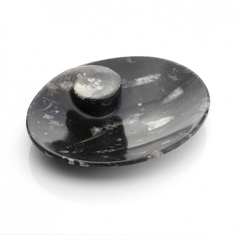 UniArt - Vente Objets de décoration - Assiettes décoratives avec ammonites et orthoceras authentiques5