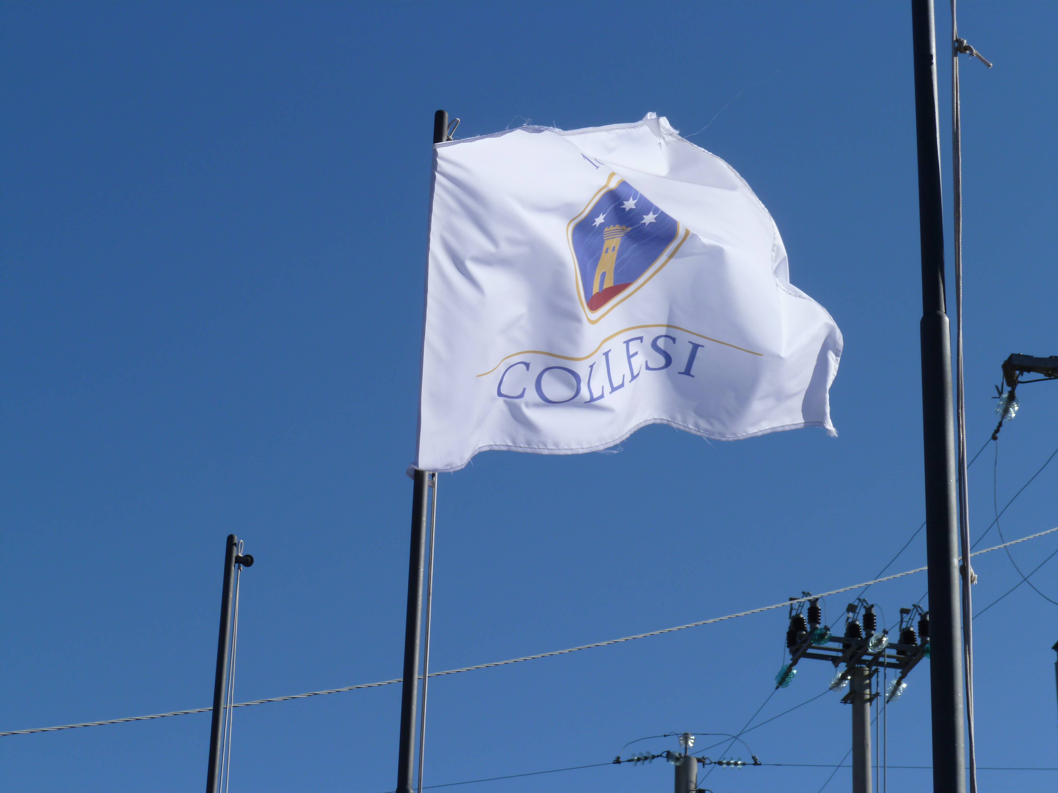 COLLESI TRADE SRL - Vente Gin - GIN DRY COLLESI 700ml 40%9