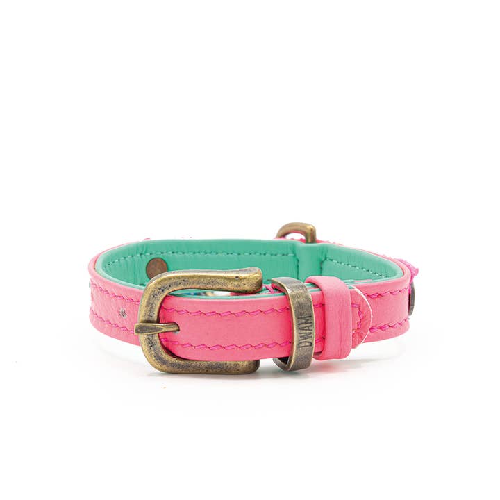 Dog with a Mission - Wholesale Pet Collar - Dog - Molly Mini Dog Collar