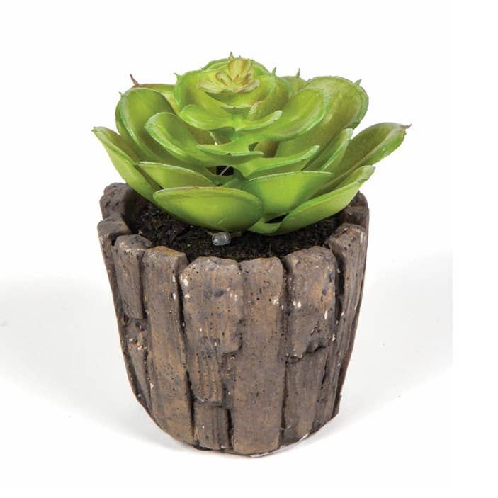 Succulent In A Round Wood Shape Ceramic Pot 2-1/2 dia x 5 in for wholesale by KMI International Corp.