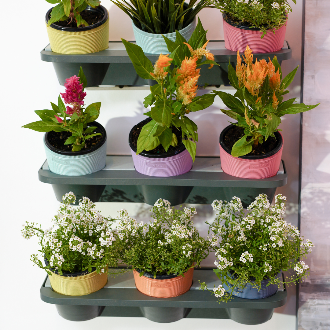 Watex - Wholesale Wall Planter - Watex Wheat Straw Indoor Vertical Garden3