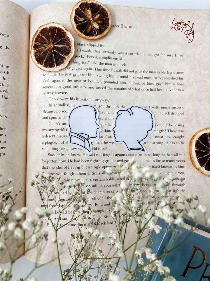 Pride and Prejudice Silhouette Stickers, (Set of 2), 2x2in for wholesale by Twelfth Pine