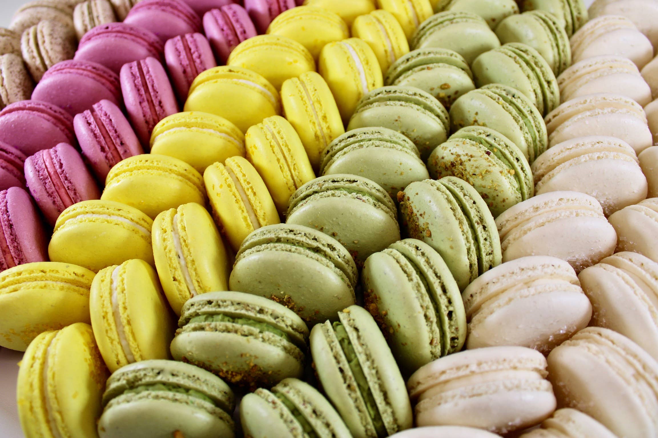 Savor Patisserie - Wholesale Cookie - The Classics Collection - Gift Box of 57