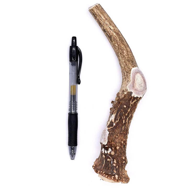 Masticar perro de cuerno grande para venta al por mayor de Perfect Pet Chews