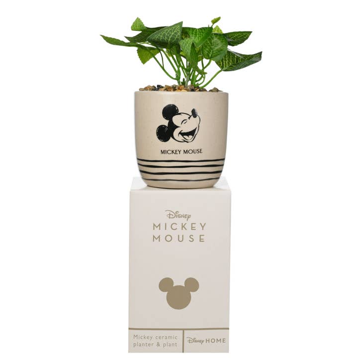 WIDDOP and Co. - Venta al por mayor Plantas artificiales - Maceta Disney Mickey