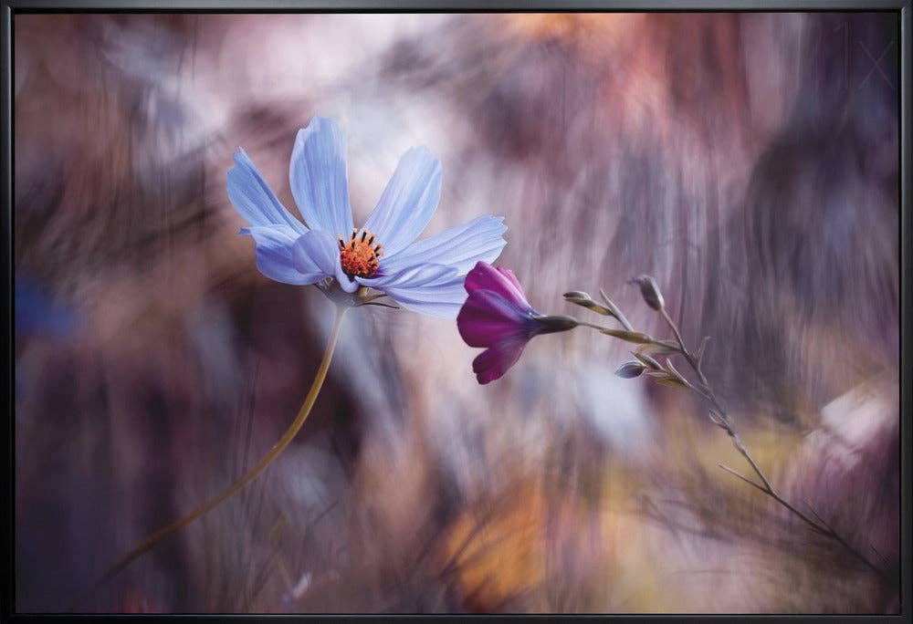 GTA ART - Wholesale Art Print - Wall art Le rendez vous1