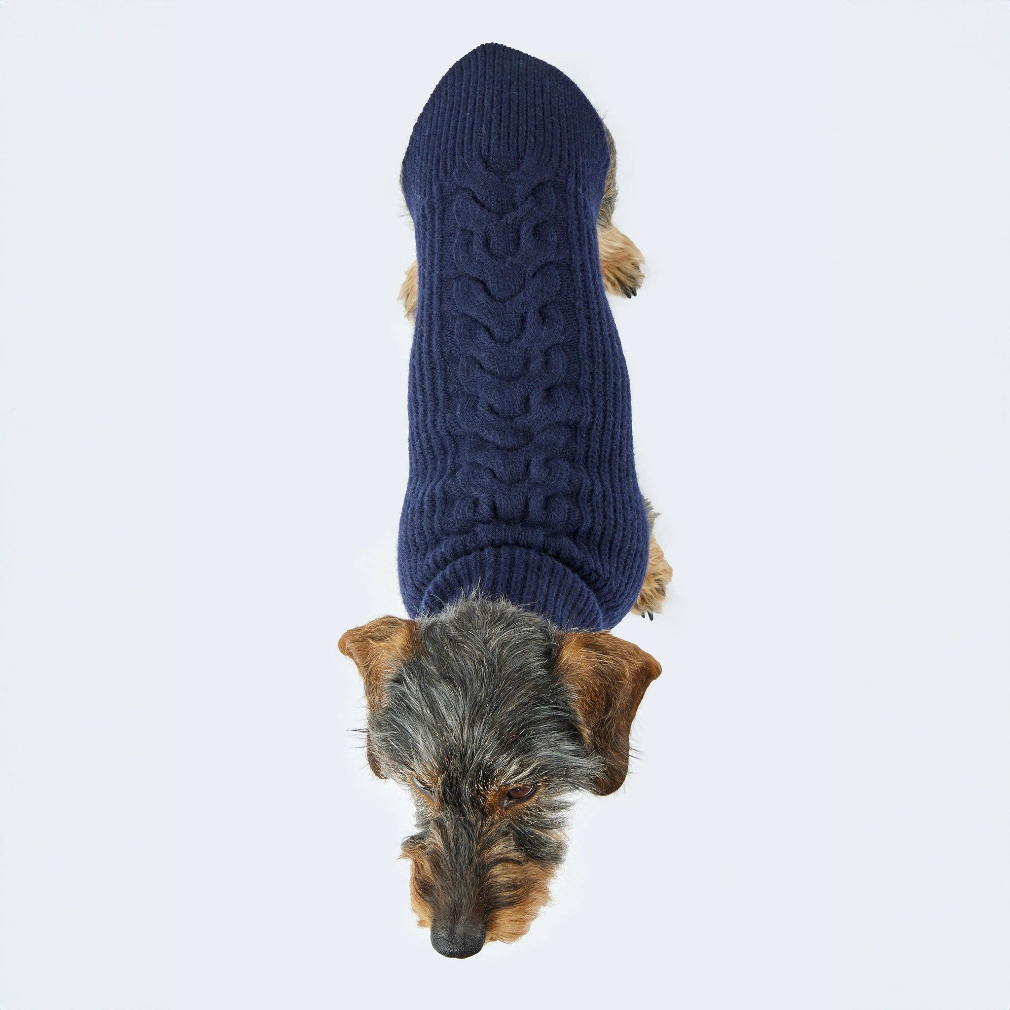 ​​Leopold's Finest for dogs - Wholesale Pet Sweater - Dog - Dark blue dog sweater6