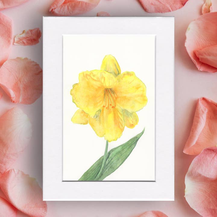 Gyllene Påsklilja Blommig Natur Mini Tryck för wholesale av Fine Art For Small Spaces