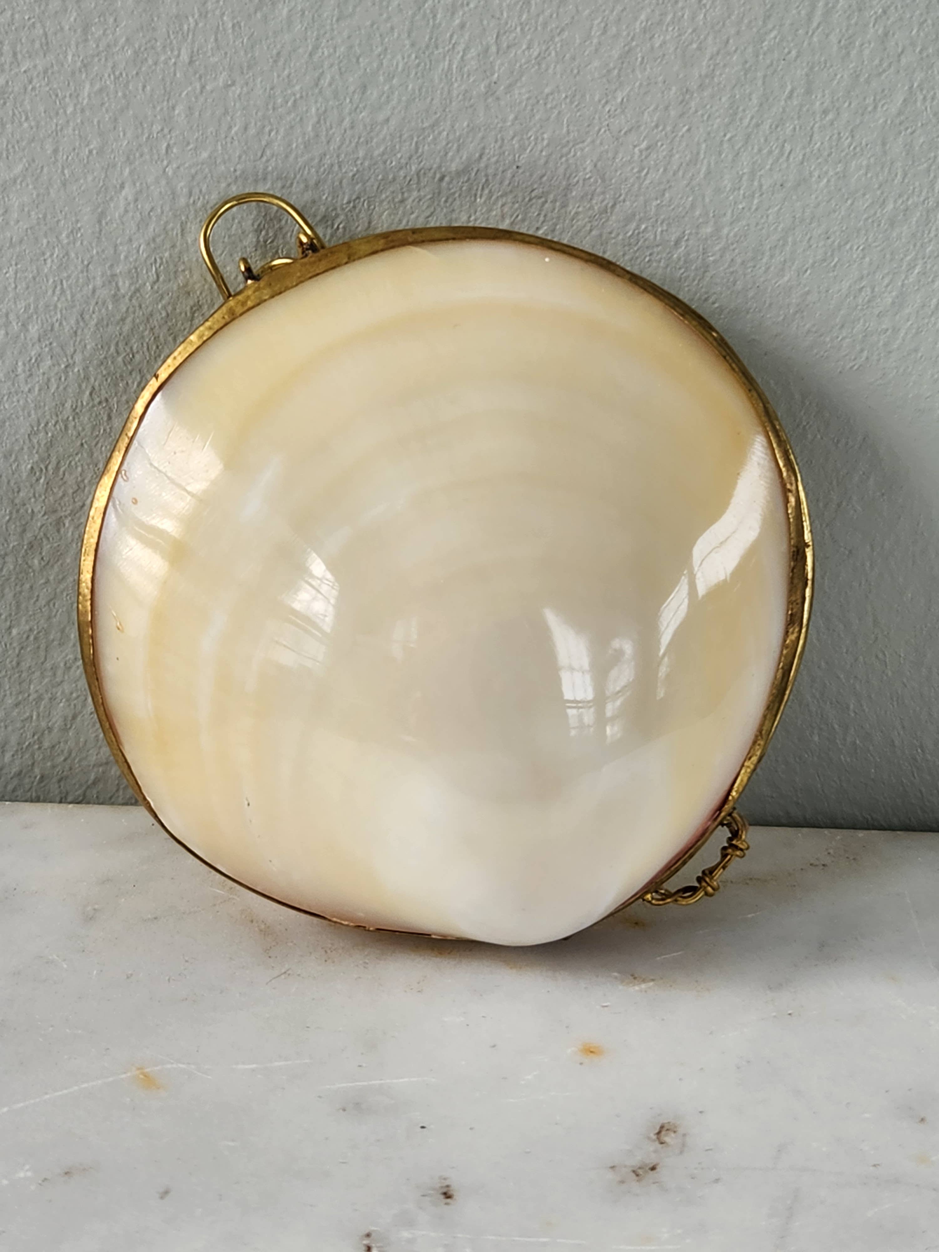 White Tulip Boutique - Wholesale Decorative Box - Mini Clam Trinket Pill Box, Coin Purse2