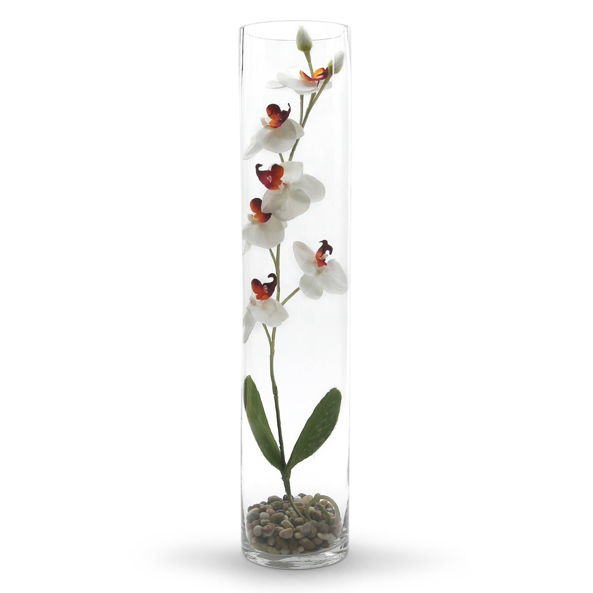 WGV International - Wholesale Vase - WGV Clear Cylinder Glass Vase - 5" x 24"H3