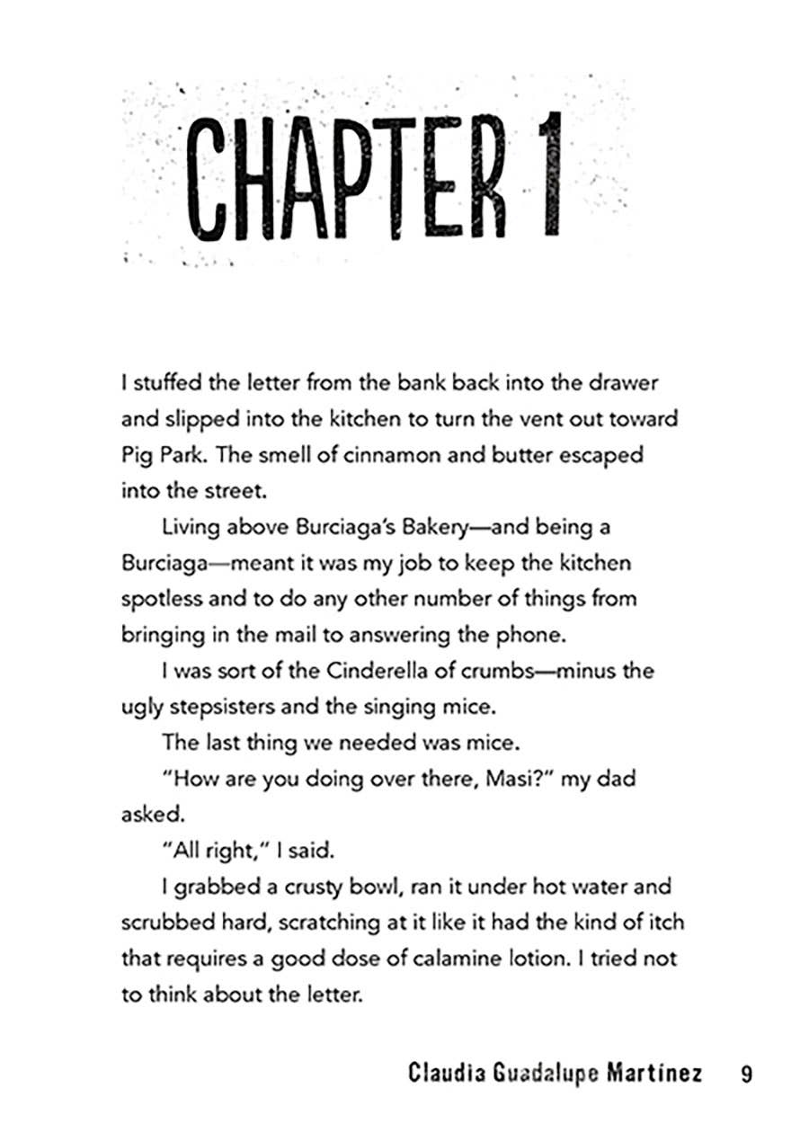 Lee & Low Books Inc - Wholesale Teen & Young Adult Book - Pig Park by Claudia Guadalupe Martínez2