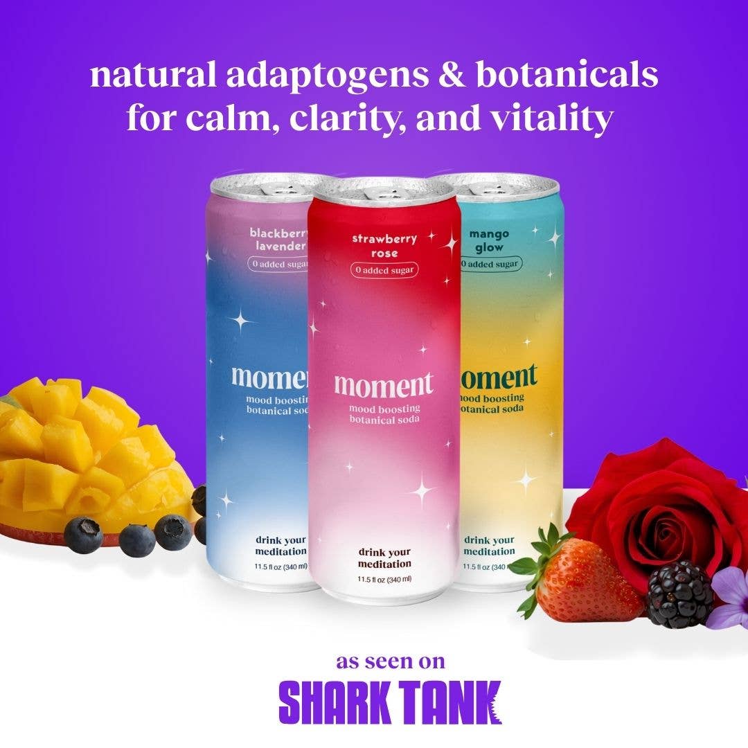 Moment - Wholesale Soda/Carbonated Drink - bestsellers (botanical soda | 18 pack)1