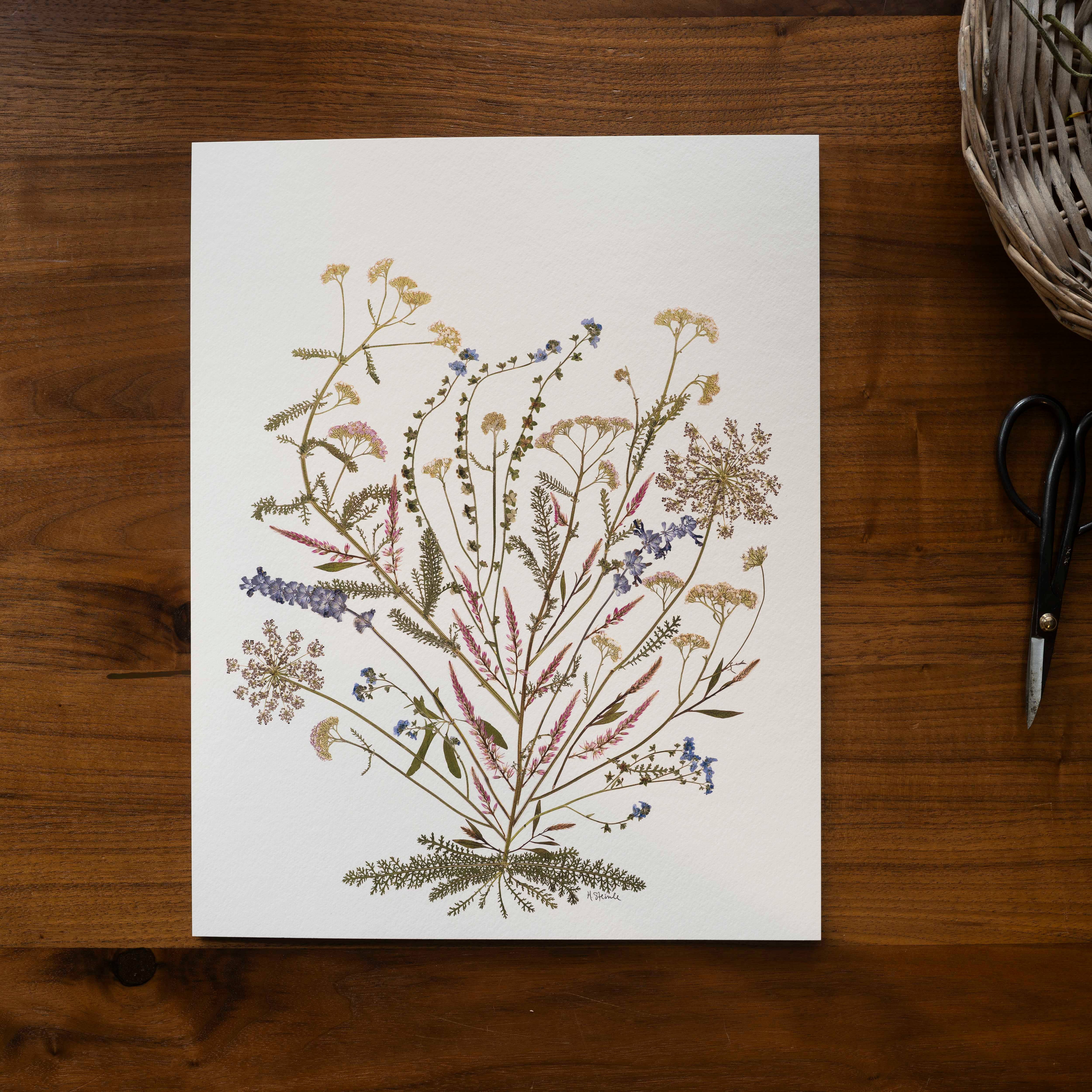 Hope Steinle Pressed Flower Art - Wholesale Art Print - Bloom As You Are2