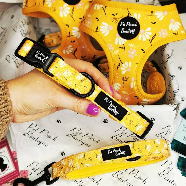 Pet Pooch Boutique - Wholesale Pet Collar - Dog - Sunshine Daisy Dog Collar With Optional Flower Accessory