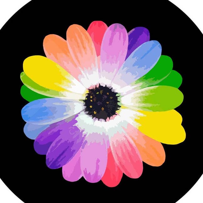 Rainbow Daisy Flower Sort Reservedækdæksel for engroshandel hos Dirty Acres