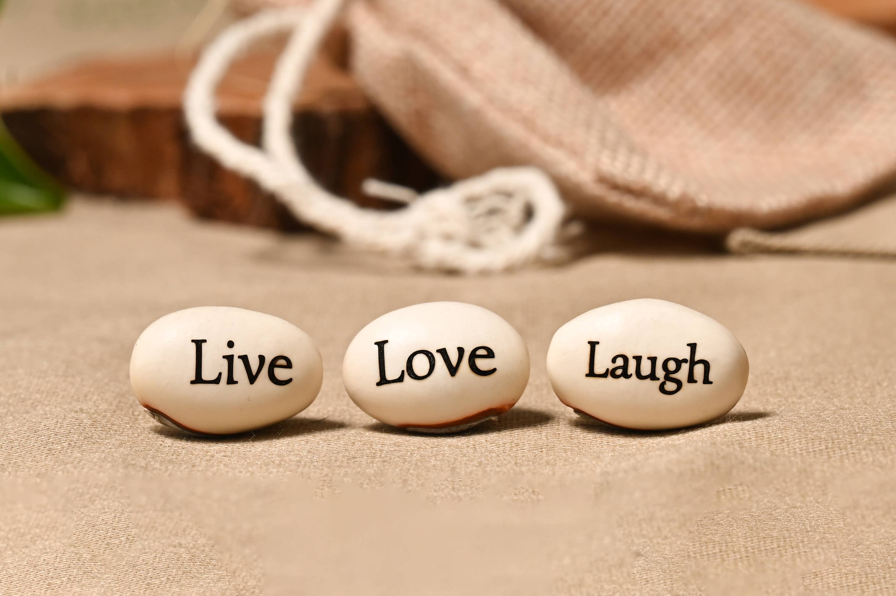 Live Love Bean - Wholesale Plant seeds - Magic Beans (Engraved Seeds) - Loose15