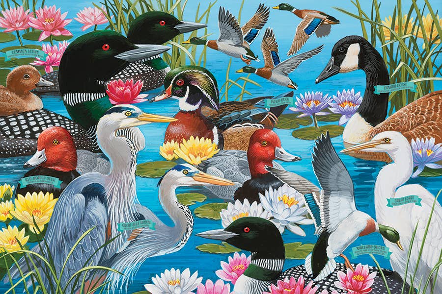 Outset Games and Cobble Hill Puzzles - Wholesale Puzzle - Kids - Water Birds 36pc floor puzzle1