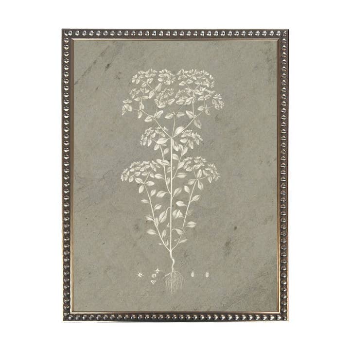 Antique Curiosities Inc - Wholesale Art Print - Taupe and Cream Florals F on distressed background