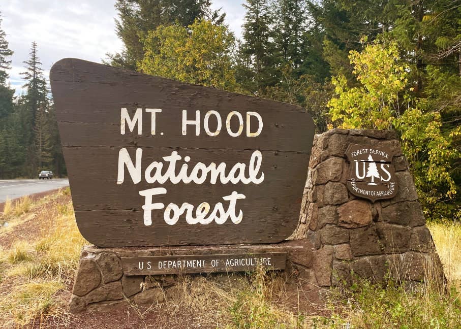 Stick Outside - Wholesale Sticker - Mt. Hood National Forest Oregon Sign Sticker4