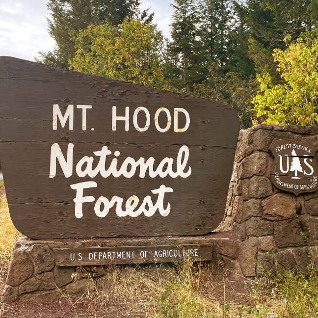 Stick Outside - Wholesale Sticker - Mt. Hood National Forest Oregon Sign Sticker4