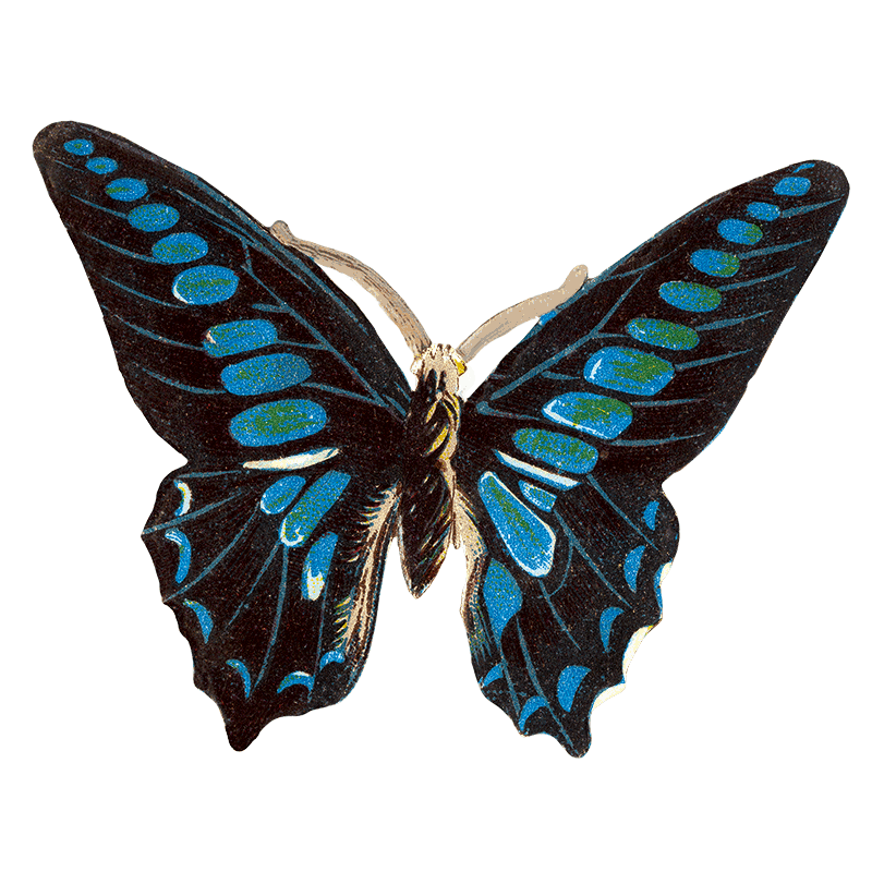 Laughing Elephant – Großhandel Aufkleber – Butterfly Box — Stickerbox für den täglichen Gebrauch18