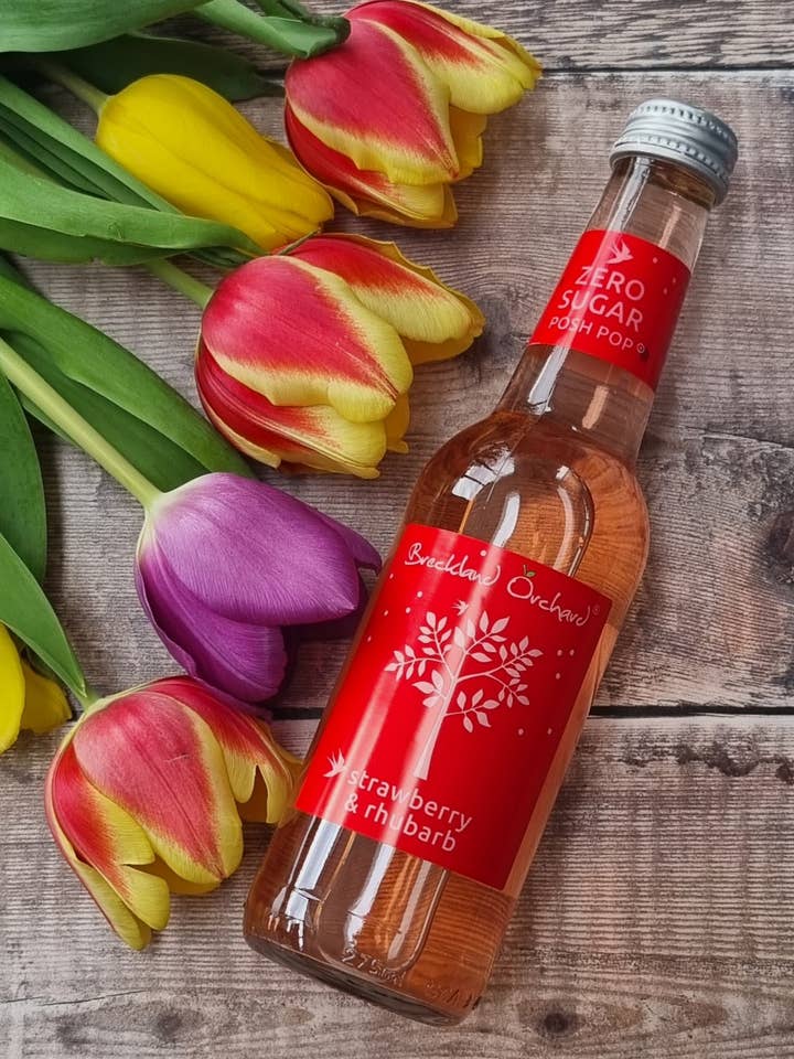 ZERO Sugar Strawberry & Rhubarb Posh Pop 12 x 275ml for wholesale by Breckland Orchard