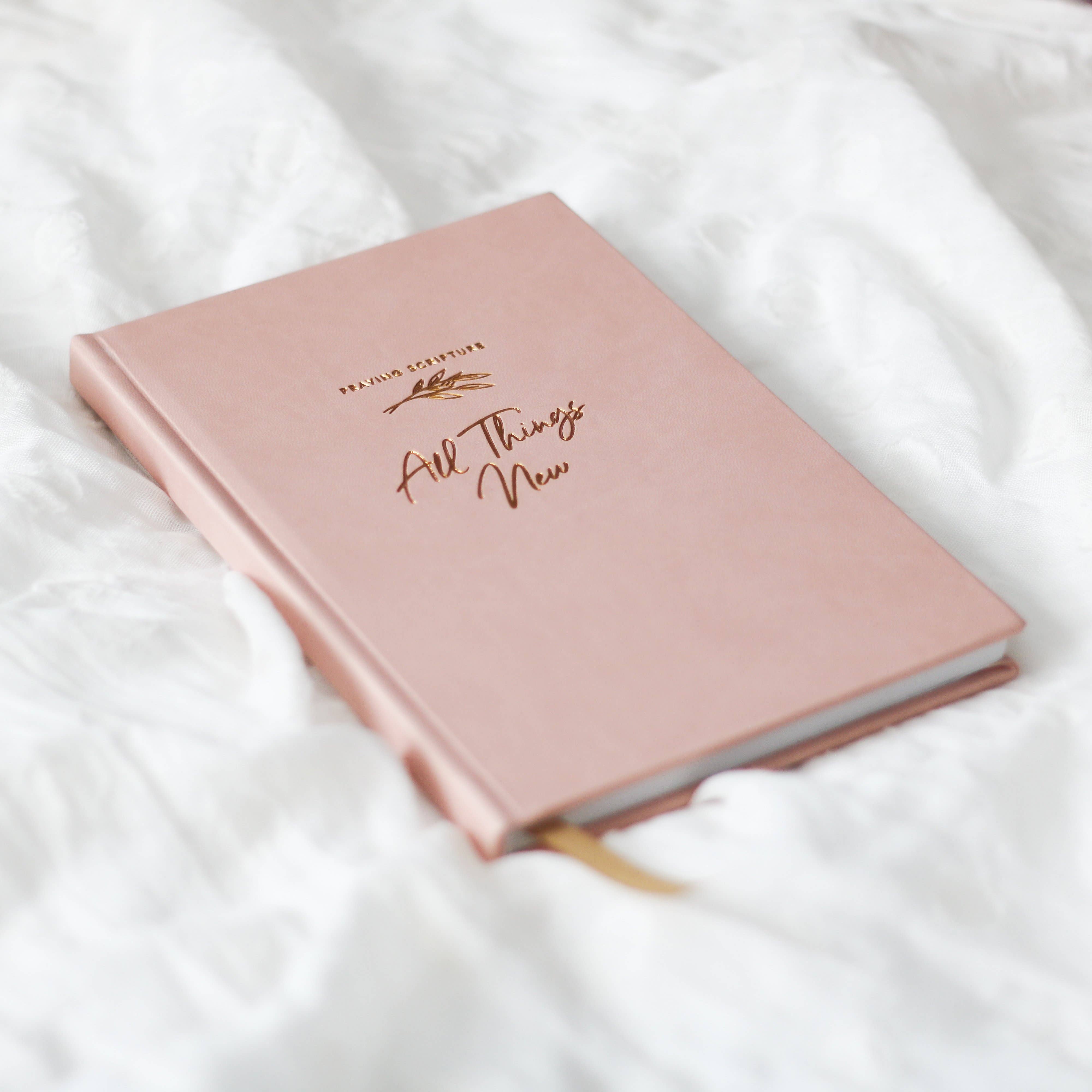The Daily Grace Co - Wholesale Journal/Diary - All Things New  | Praying Scripture Journal3