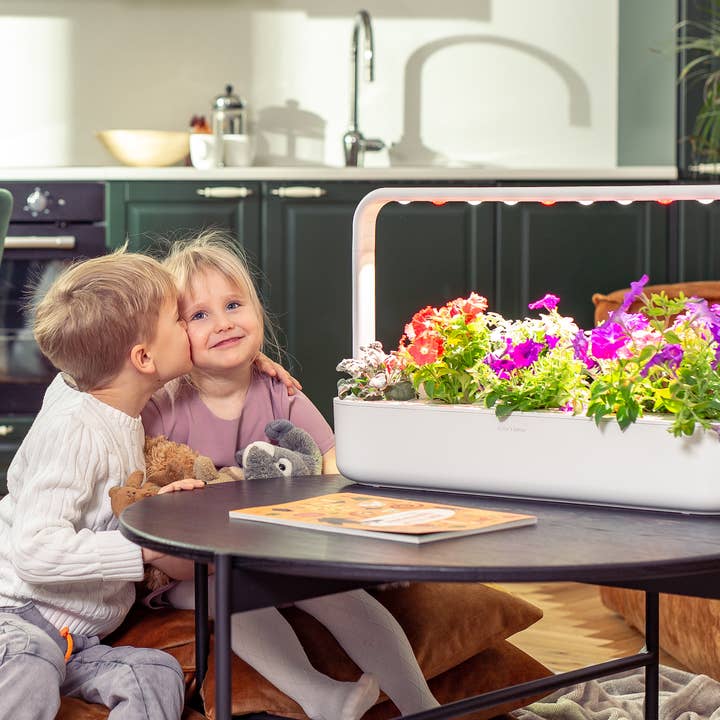 Click and Grow - Wholesale Planter Box - The Smart Garden 911
