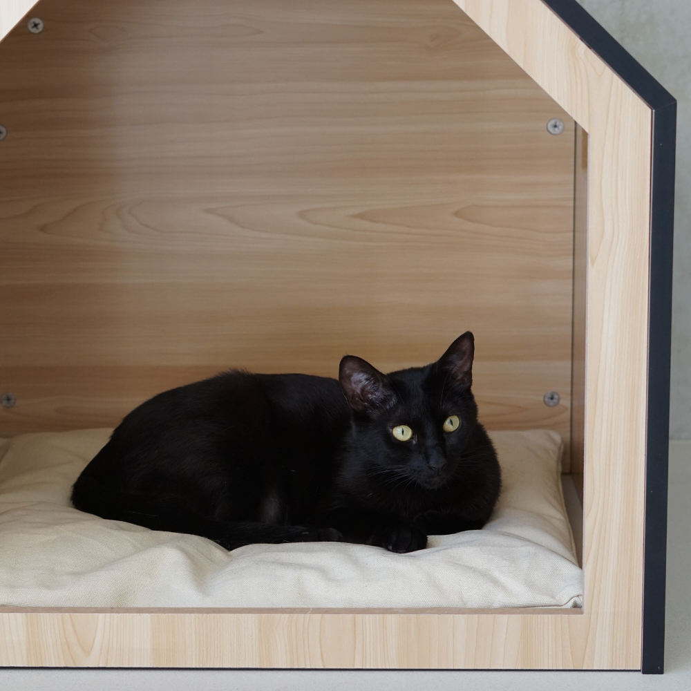 STUDIO ANIMAUX - Wholesale Pet Bed - Cat/Dog - Pet house | wood | black | 58 x 58 x 65 cm12