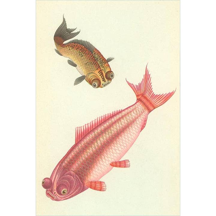 Postcard FH-12 Koi for wholesale by Found Image Press