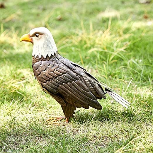 The Wine Savant /  Khen Glassware - Wholesale Outdoor Ornament/Decor - American Eagle Metal Garden Bird, Yard Sculpture Art- Large8
