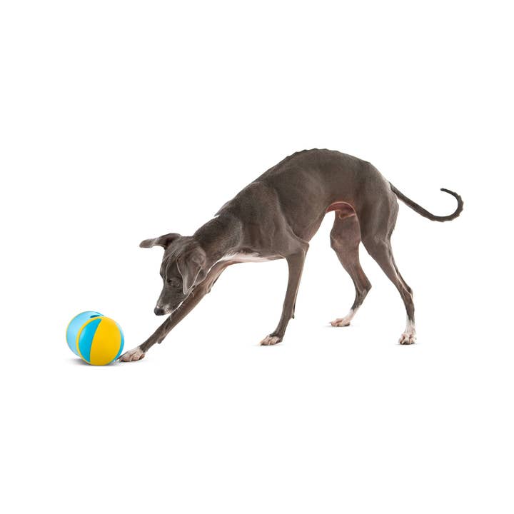 Pet Palette Distribution - Wholesale Pet Toy - Dog - GURU Pet Company Rock 'N Treat Interactive Dog Toy Medium