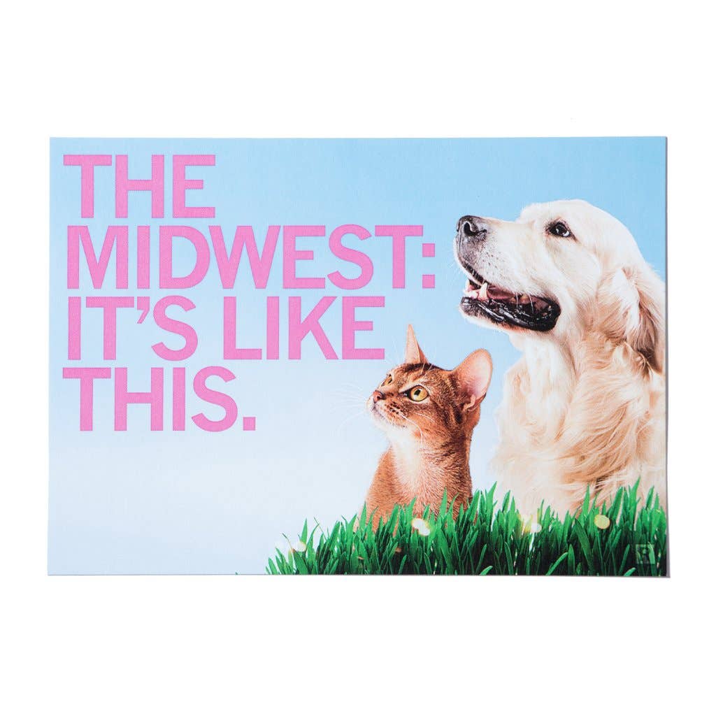 RAYGUN - Wholesale Postcard - Midwest Is Like This Postcard - Cats and Dogs0